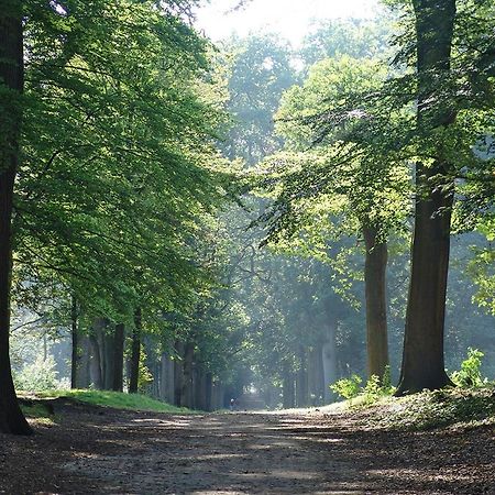 Luxe Safaritent Medley 5 Persoons Op Camping Rijsterbos Zewnętrze zdjęcie